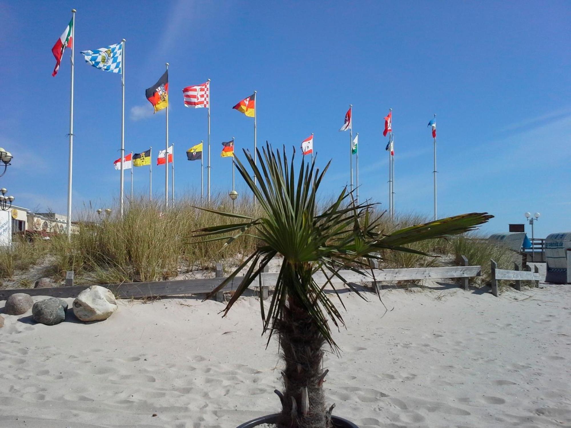 Haus Baltic - Whg 23 - Neu Inkl Saisonstrandkorb! Grömitz Exteriör bild